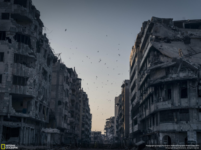 Illustration for article titled The Winning Images From National Geographic's 2014 Photo Contest